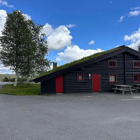 Vikinggrenda Trysil Walking Distance To Everything Ski In And Out Tatil Evi